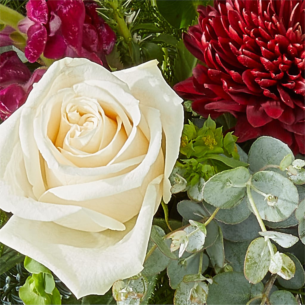 Cranberry Fizz Bouquet –  Salon Diane Aubin Fleuriste Inc., Jonquiere PQ