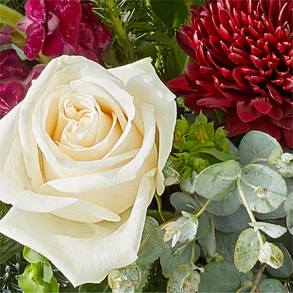 Cranberry Fizz Bouquet –  Salon Diane Aubin Fleuriste Inc., Jonquiere PQ