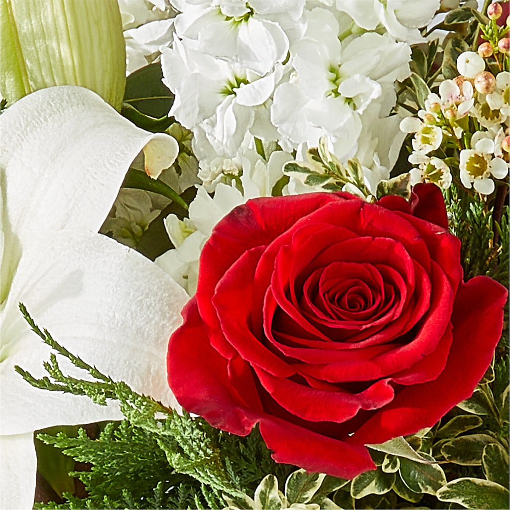 Twinkle Lights Bouquet –  Salon Diane Aubin Fleuriste Inc., Jonquiere PQ