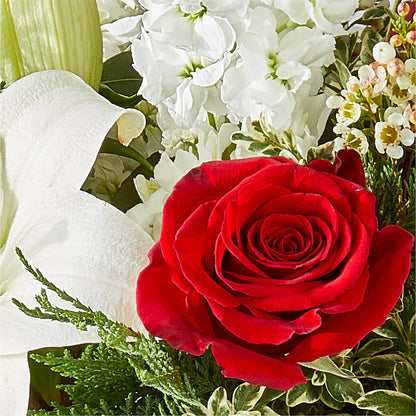 Twinkle Lights Bouquet –  Salon Diane Aubin Fleuriste Inc., Jonquiere PQ