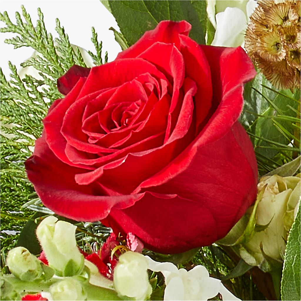 Deck the Halls Bouquet –  Salon Diane Aubin Fleuriste Inc., Jonquiere PQ