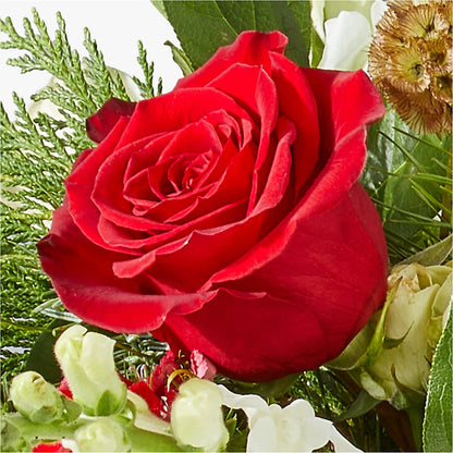 Deck the Halls Bouquet –  Salon Diane Aubin Fleuriste Inc., Jonquiere PQ