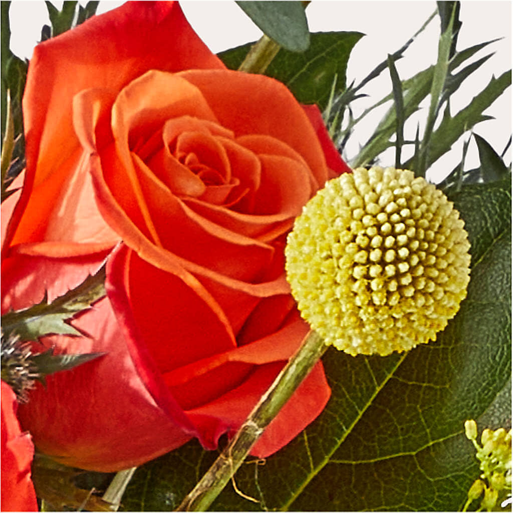 Disco Bouquet –  Salon Diane Aubin Fleuriste Inc., Jonquiere PQ