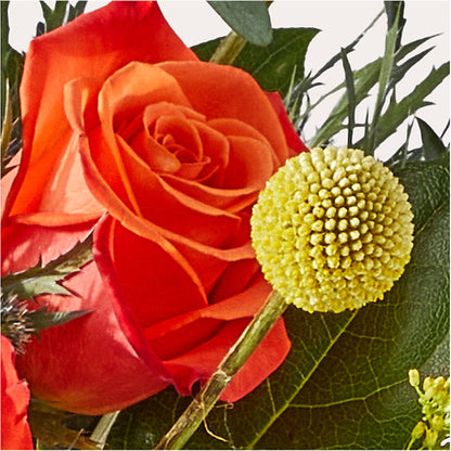 Disco Bouquet –  Salon Diane Aubin Fleuriste Inc., Jonquiere PQ