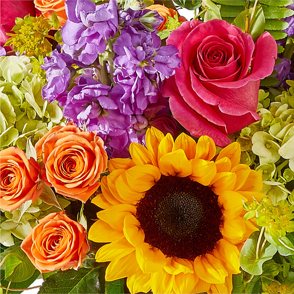 Vibrant Greetings Bouquet –  Salon Diane Aubin Fleuriste Inc., Jonquiere PQ