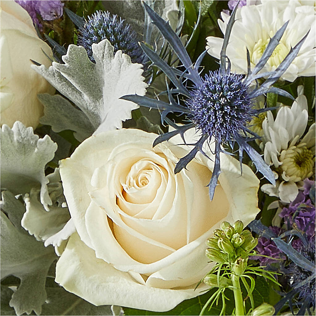 Shooting Star Bouquet –  Salon Diane Aubin Fleuriste Inc., Jonquiere PQ