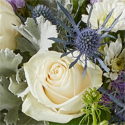 Shooting Star Bouquet –  Salon Diane Aubin Fleuriste Inc., Jonquiere PQ