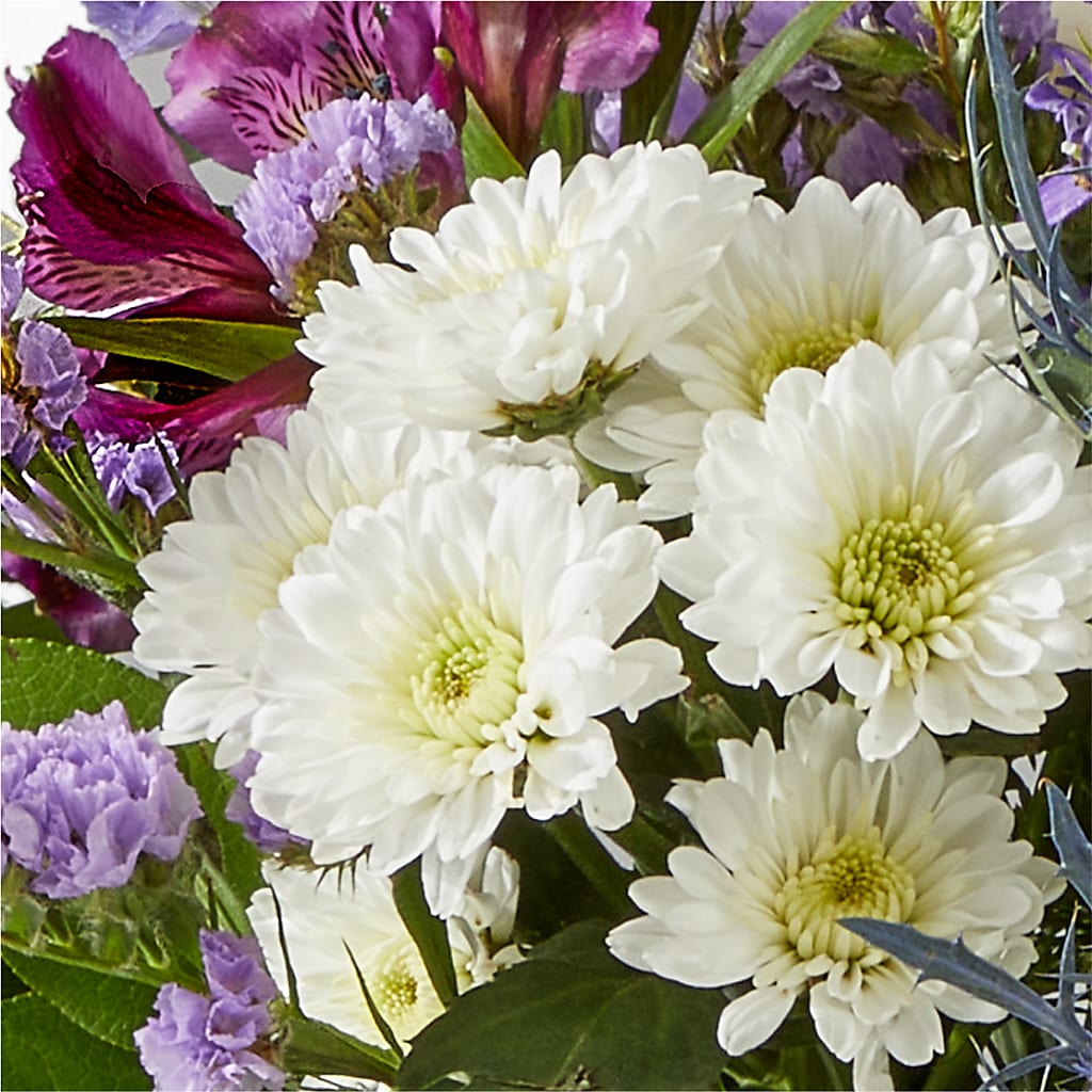 Shooting Star Bouquet –  Salon Diane Aubin Fleuriste Inc., Jonquiere PQ