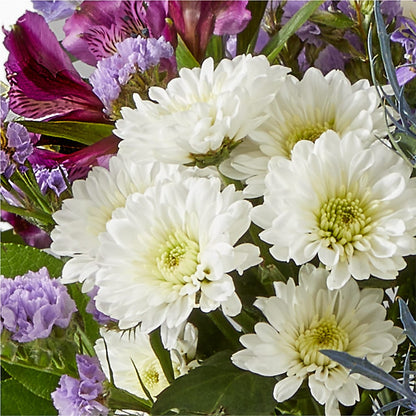 Shooting Star Bouquet –  Salon Diane Aubin Fleuriste Inc., Jonquiere PQ