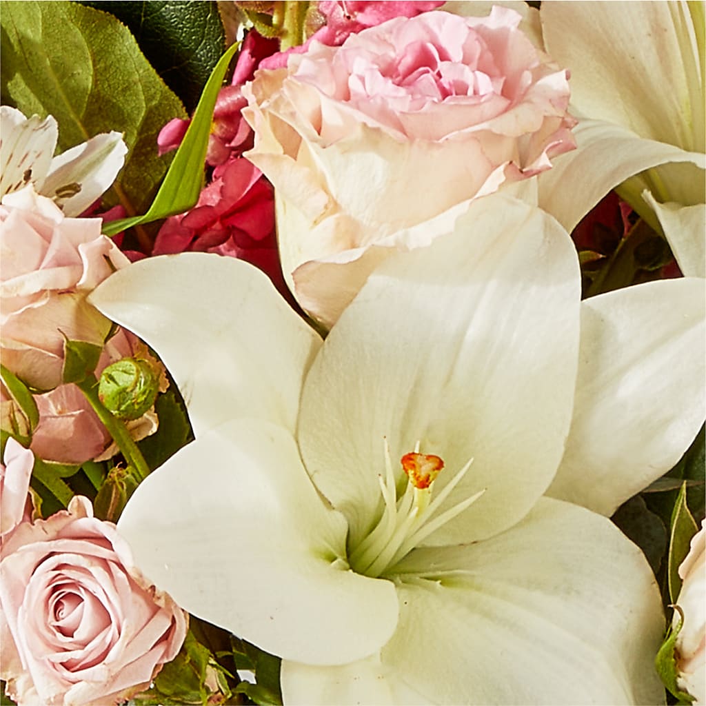 Ballet Slippers Bouquet –  Salon Diane Aubin Fleuriste Inc., Jonquiere PQ