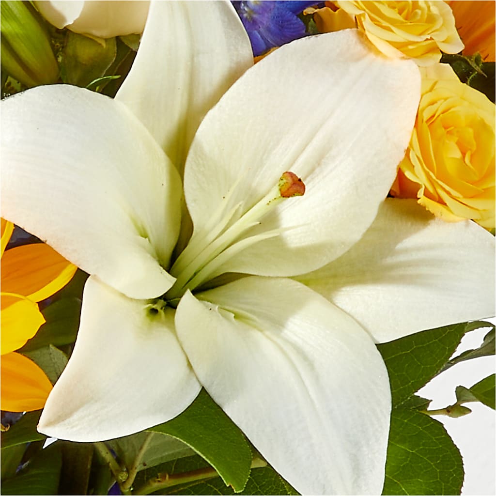 Wonderfully Sunny Bouquet –  Salon Diane Aubin Fleuriste Inc., Jonquiere PQ