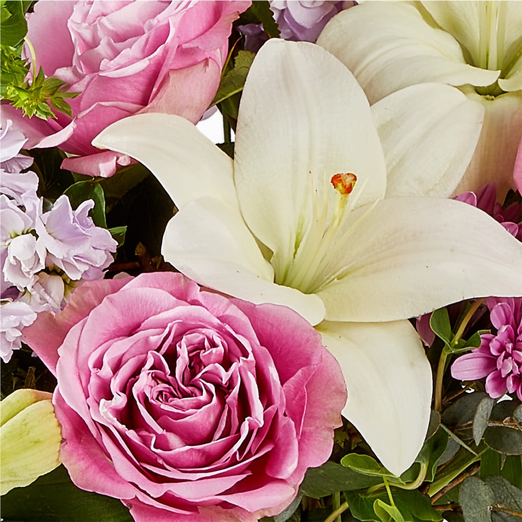 Daydreamer Bouquet –  Salon Diane Aubin Fleuriste Inc., Jonquiere PQ