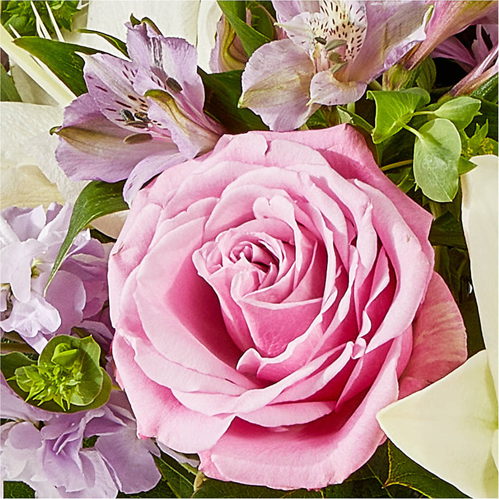 Daydreamer Bouquet –  Salon Diane Aubin Fleuriste Inc., Jonquiere PQ