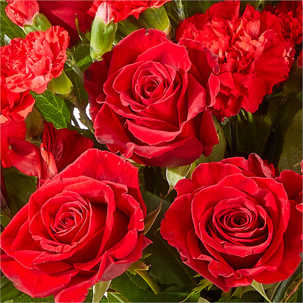 The Heartstrings Bouquet –  Salon Diane Aubin Fleuriste Inc., Jonquiere PQ