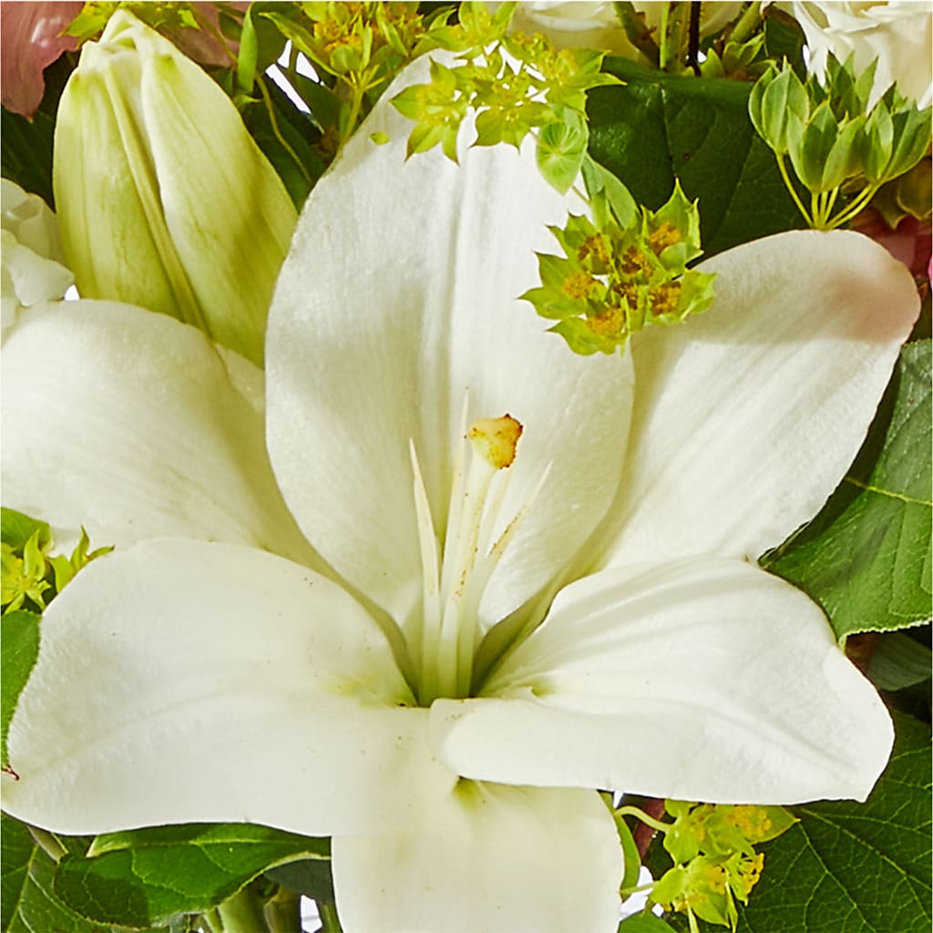 Fondly Bouquet –  Salon Diane Aubin Fleuriste Inc., Jonquiere PQ