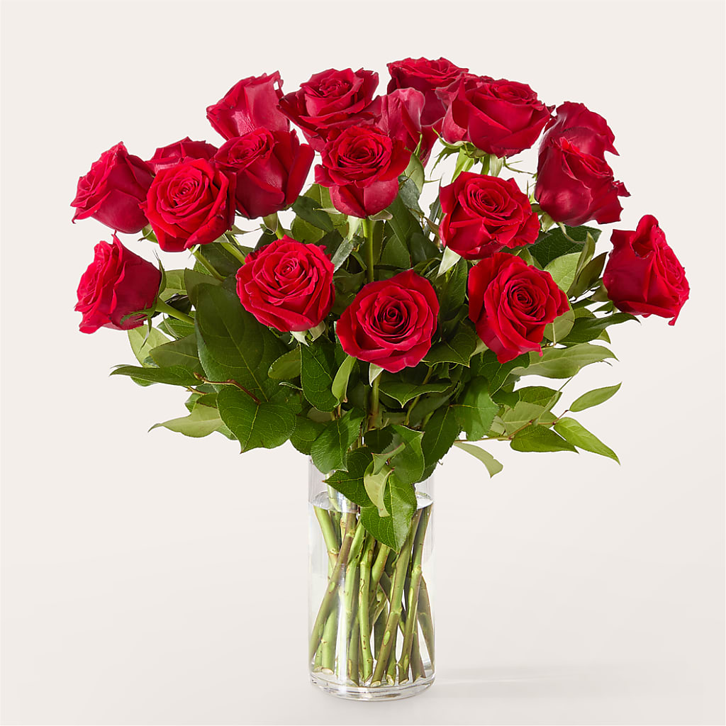 The One Red Rose Bouquet –  Salon Diane Aubin Fleuriste Inc., Jonquiere PQ