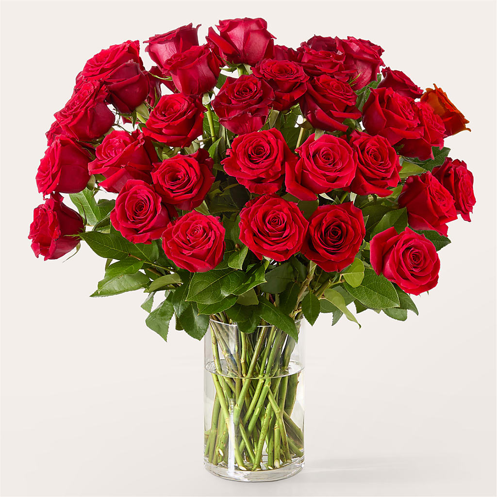 The One Red Rose Bouquet –  Salon Diane Aubin Fleuriste Inc., Jonquiere PQ