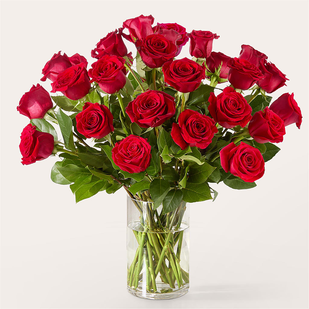 The One Red Rose Bouquet –  Salon Diane Aubin Fleuriste Inc., Jonquiere PQ