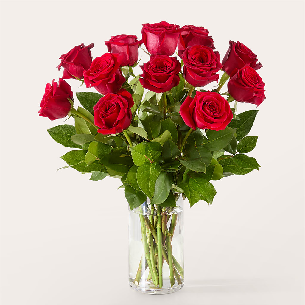 The One Red Rose Bouquet –  Salon Diane Aubin Fleuriste Inc., Jonquiere PQ