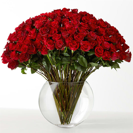 The Idealist –  Salon Diane Aubin Fleuriste Inc., Jonquiere PQ