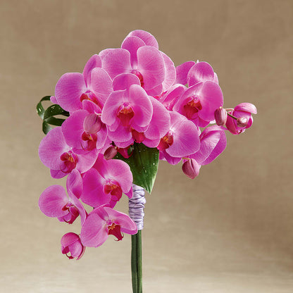 Glorious Bouquet –  Salon Diane Aubin Fleuriste Inc., Jonquiere PQ