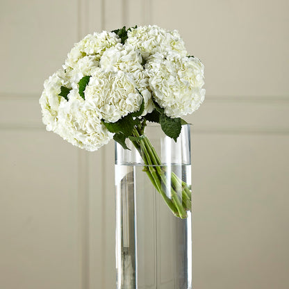White Hydrangea Hand-Tied Bouquet –  Salon Diane Aubin Fleuriste Inc., Jonquiere PQ