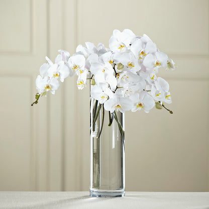 White Phalaenopsis Bouquet –  Salon Diane Aubin Fleuriste Inc., Jonquiere PQ