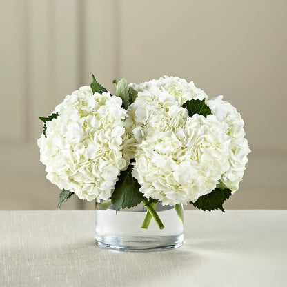 White Hydrangea Bouquet –  Salon Diane Aubin Fleuriste Inc., Jonquiere PQ